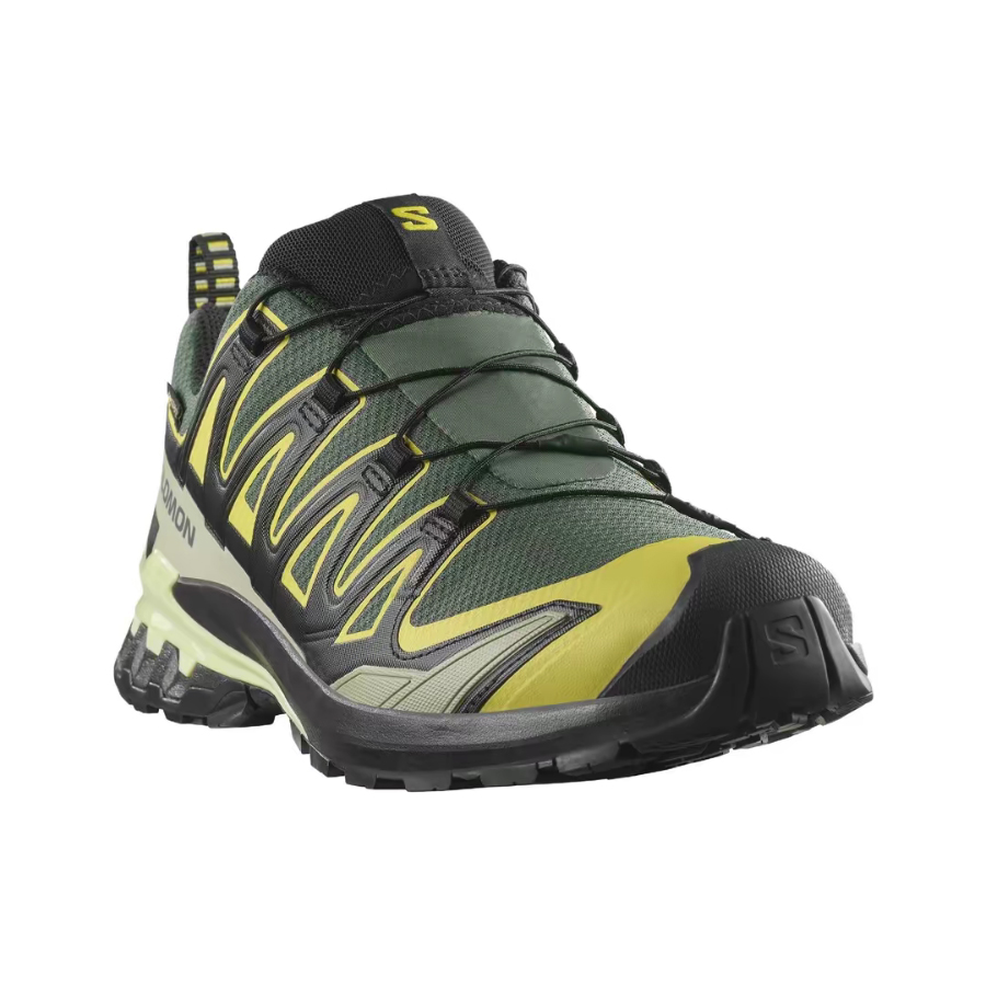 Salomon XA Pro 3D V9 GTX: Retr - Salomon Shoes Xa Pro 3D 评论和价格