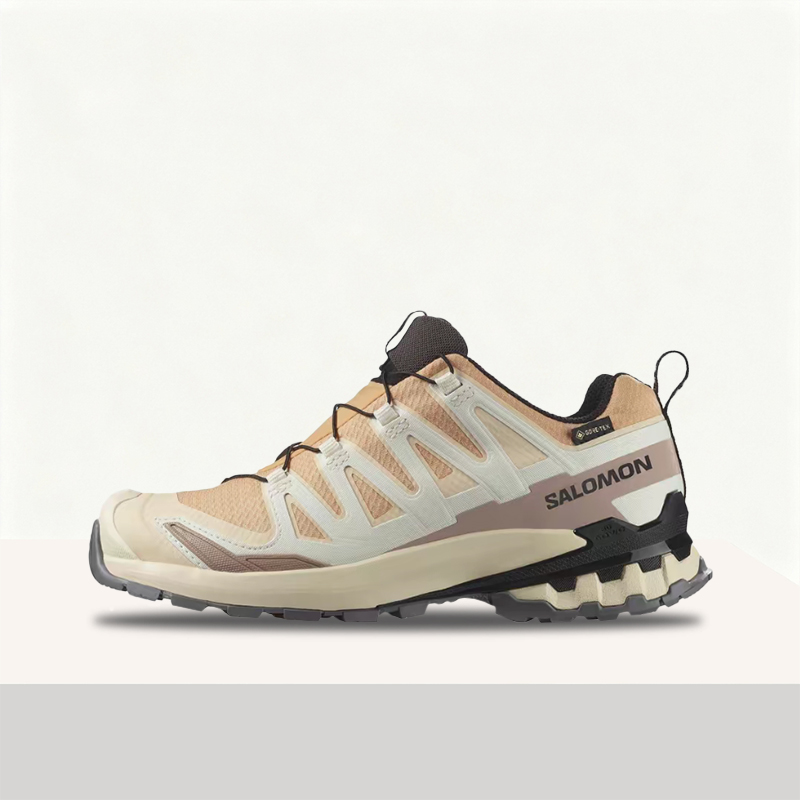 Salomon XA Pro 3D V9 GTX: A lo - Salomon Shoes Xa Pro 3D 评论和价格
