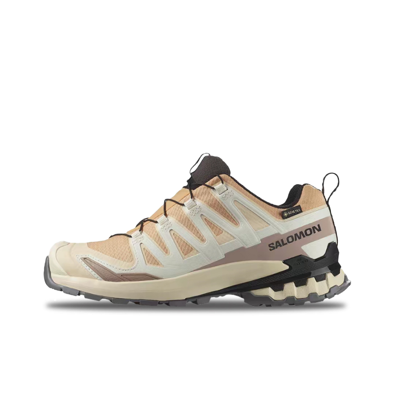 Salomon XA Pro 3D V9 GTX: A lo - Salomon Shoes Xa Pro 3D 评论和价格
