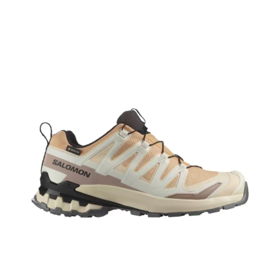 Salomon XA Pro 3D V9 GTX: A lo - Salomon Shoes Xa Pro 3D 评论和价格
