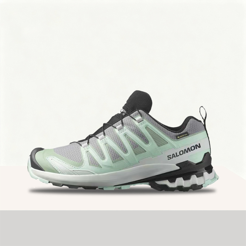 Salomon XA Pro 3D V9 GTX: Styl - Salomon Shoes Xa Pro 3D 评论和价格