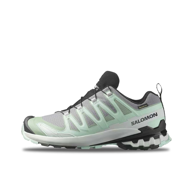 Salomon XA Pro 3D V9 GTX: Styl - Salomon Shoes Xa Pro 3D 评论和价格
