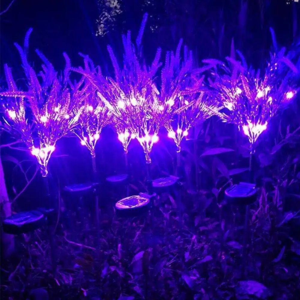 Purple LED Solar Lavender Ligh - Outdoor Lighting Unit 评论和价格